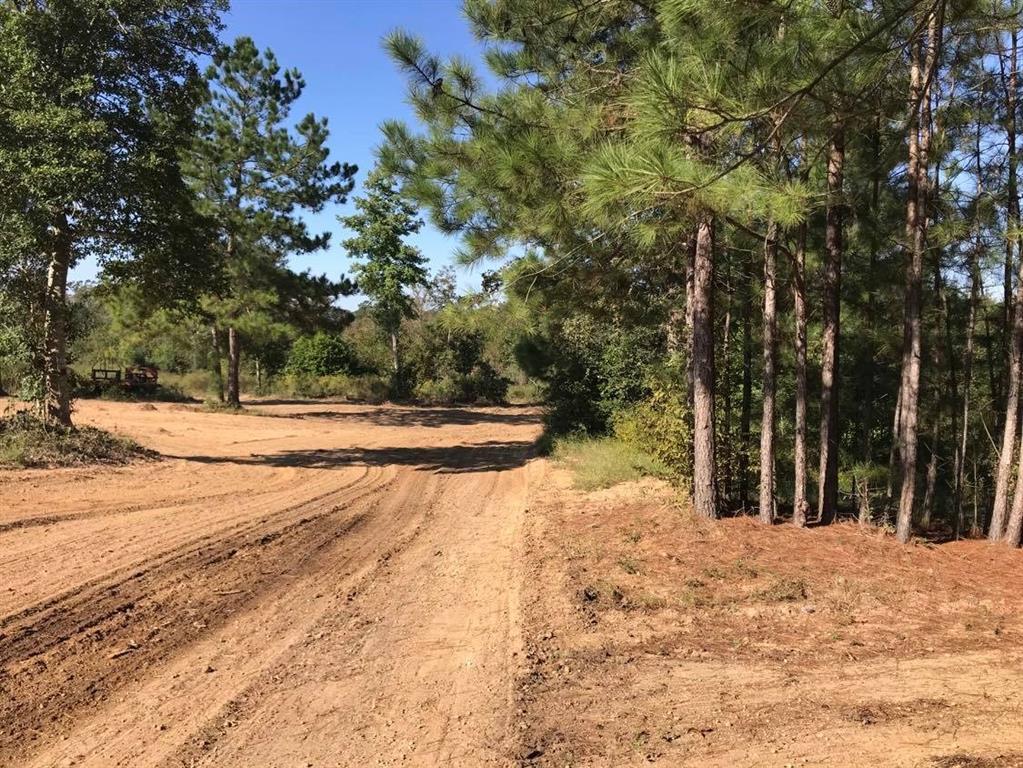 15861 Fm Hwy 1484, Conroe, Texas 77302, ,2 BathroomsBathrooms,Country Homes/acreage,For Sale,Fm Hwy 1484,56830941