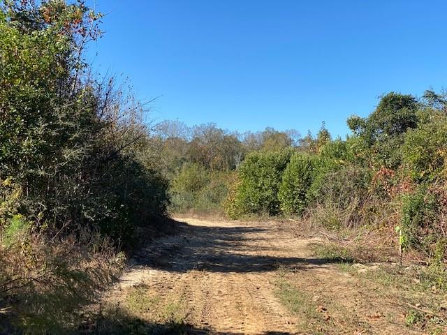 15861 Fm Hwy 1484, Conroe, Texas 77302, ,2 BathroomsBathrooms,Country Homes/acreage,For Sale,Fm Hwy 1484,56830941