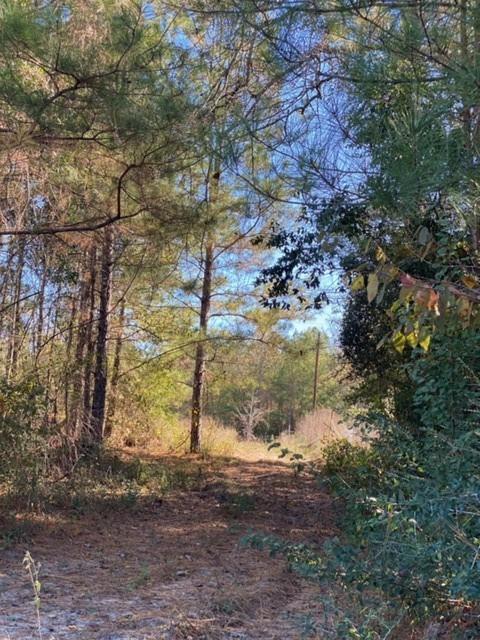 15861 Fm Hwy 1484, Conroe, Texas 77302, ,2 BathroomsBathrooms,Country Homes/acreage,For Sale,Fm Hwy 1484,56830941