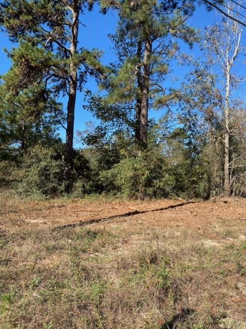15861 Fm Hwy 1484, Conroe, Texas 77302, ,2 BathroomsBathrooms,Country Homes/acreage,For Sale,Fm Hwy 1484,56830941