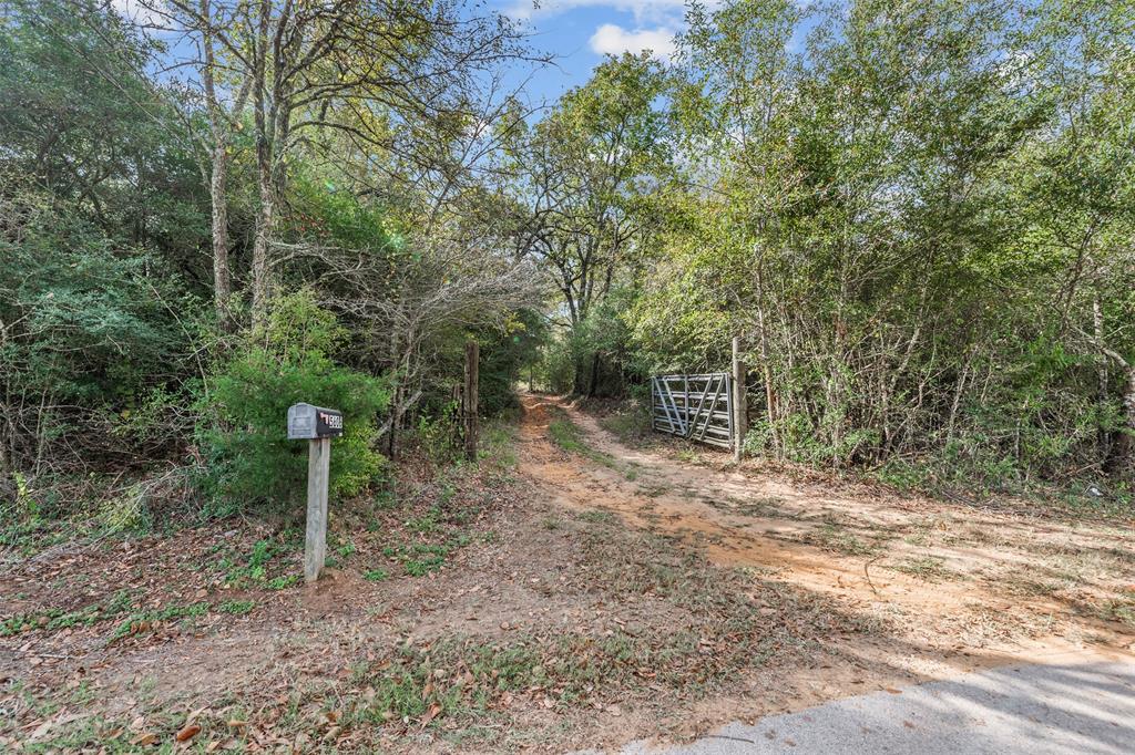 5605 County Road 325, Navasota, TX 77868 - HAR.com
