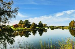 Chappell Hill Tx Homes For Sale Har Com