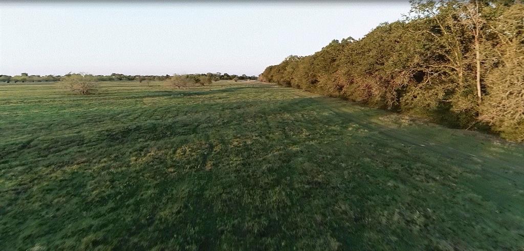9044 Fm 1428 Madisonville, Texas This beautiful unrestricted 38 +/- acres is located just a few minutes from the fast growing Madisonville area.
With approximately 600' feet of paved road frontage and being 3,000 +/- feet deep its surrounded by larger ranches on three sides and ideally situated for your families dream home, family compound, horse or cattle ranch, hunting or recreational property. Sandy soils and recently improved pastures are just waiting for your equestrian facility or preferred livestock...agriculture exemption currently in place. Recent improvements include a freshly dug stock pond, 800 +/- sq. ft. shop with concrete floor, fencing on all 4 sides of property and a wrought iron entry with double gates. There are two deer feeders and a box stand shown in pictures that do not convey. Low tax rates, rural lifestyle all located minutes from Bryan/College Station, Huntsville, Conroe & the Woodlands. Give us a call or send us an email to schedule your showing!