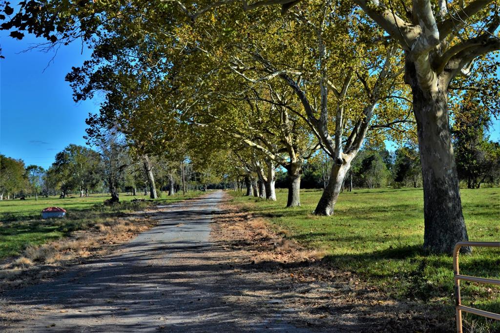 0000 Texasgulf Avenue Boling, Texas One of the 6 remaining tracts still available in Wharton County that was originally part of the New Gulf townsite. High and dry, scattered mature trees, super soil suitable for grazing, vegetables or orchards. Private maintained road with 50' easement. For detailed information on the lot, please visit the documents for a survey plat.