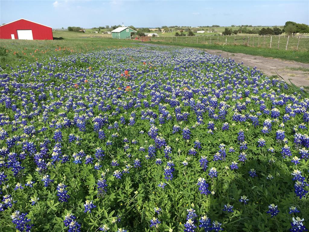 3915 E Schlottman Road Brenham, Texas Lovely 11 acre homestead with approximately 1117 feet of road frontage on the corner of Old Independence and Schlottman in the quiet, picturesque community of Prairie Hill, located just 5 minutes from Highway 390, 10 minutes from downtown Brenham, 35 minutes from College Station, and 20 minutes from Lake Sommerville. Property is fully fenced and not located in flood plane. Rolling hills, seasonal wildflowers and panoramic views are an added bonus to this rare gem of a property. Completely renovated two bedroom log cabin, custom one bedroom guest home with loft including front and back porch, engineered 7,500 square foot warehouse, and custom built two stall horse barn with tack and feed room. Property has Agriculture Use Exemption. Must see this property in order to appreciate all it has to offer! 89 beautiful acres adjacent to this property is also for sale.