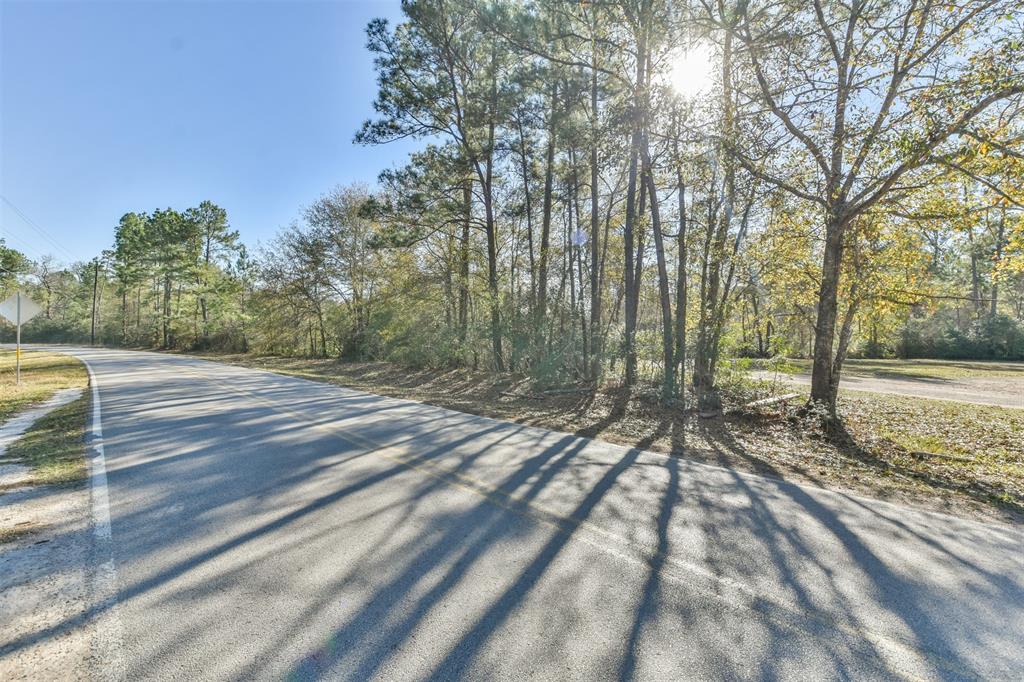 00 Baneberry Road, Magnolia, Texas 77355, ,Lots,For Sale,Baneberry,66320034