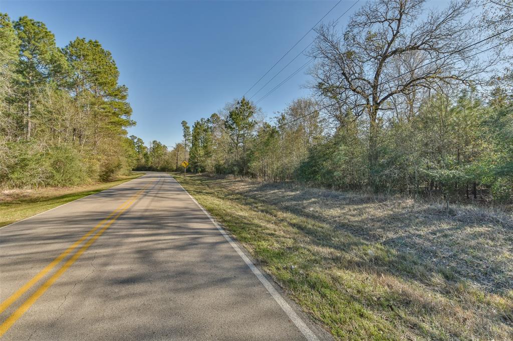 00 Baneberry Road, Magnolia, Texas 77355, ,Lots,For Sale,Baneberry,66320034