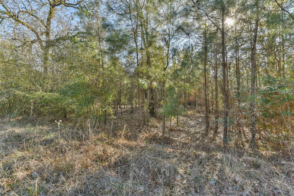 00 Baneberry Road, Magnolia, Texas 77355, ,Lots,For Sale,Baneberry,66320034