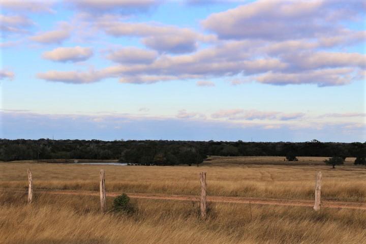000 County Road 209 Weimar, Texas Where every season is beautiful! 56.850 acres of diverse land in a beautiful location between Columbus & Weimar. Build your dream home on the hill and enjoy views of gently rolling pastures with scattered live oaks/huisache trees & wildlife. The property is perimeter fenced, electricity on property & has a water well that per the owners, was reworked in 2014. This beautiful property has been in the owner’s family since around 1900! Per the current owners, their grandparents acquired the land and they lived off the land growing crops, raising livestock and chickens. Initially there was a small home near the creek. Later, a larger Sears & Roebuck home was assembled by family & friends. The “Weimar Farm” was the gathering place for the family and hosted many family gatherings through the years. The house was disassembled in 2019 leaving a perfect spot for your home and your family to begin your story, your legacy.