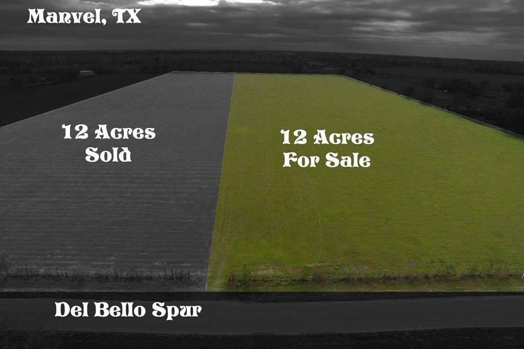 XX Del Bello Spur, Manvel, Texas 77578, ,Lots,For Sale,Del Bello,26410919