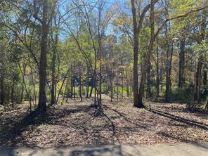 Lot 24 Fultz, Conroe, TX, 77304
