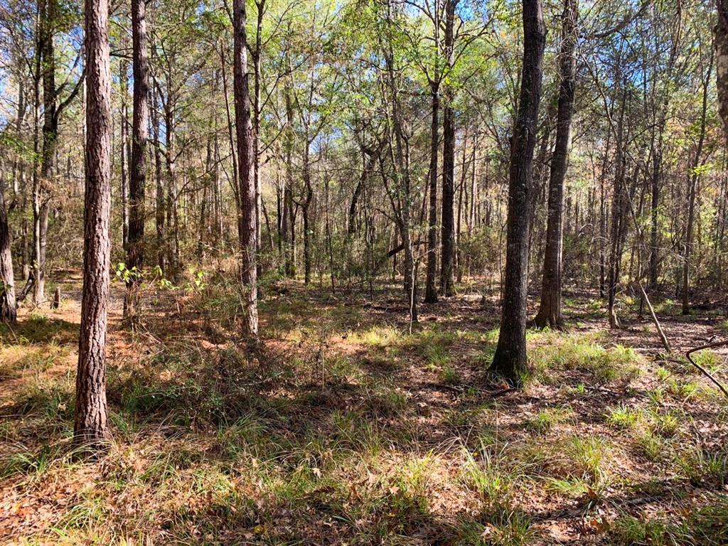 Off Private Road 2055 Hull, Texas Heavily wooded property off CR 2050 in the Hardin school district in east Liberty County. No floodplain. Outside city limits. Accessed by a deeded easement. Located in a quiet area, with a low population. Great shape. Lots of possibilities.