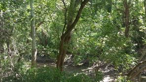 Melissa Henderson Real Estate Agent And Realtor Har Com