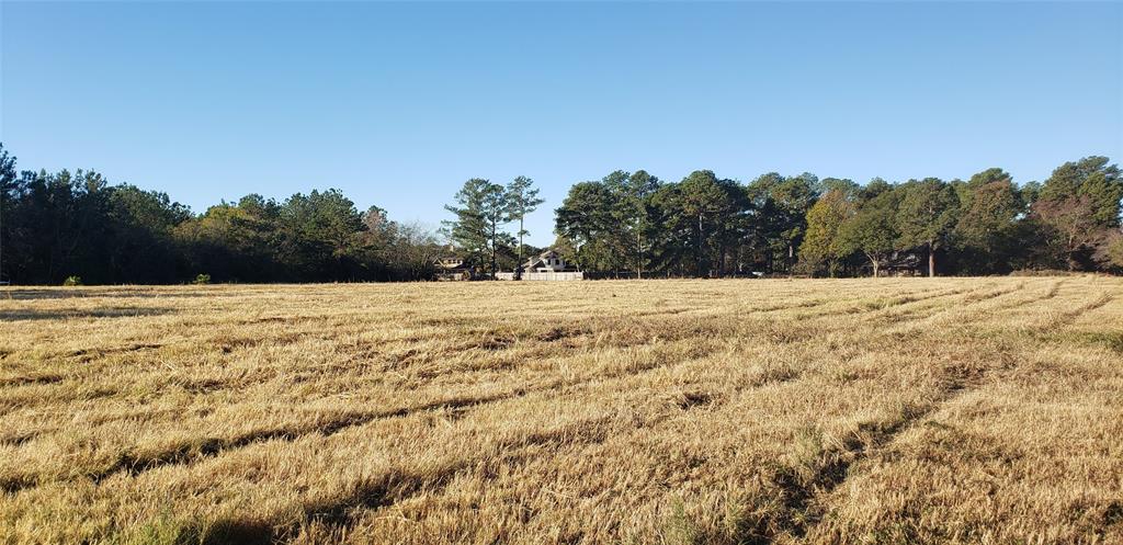 12420 Spring Cypress Road, Tomball, Texas 77377, ,Country Homes/acreage,For Sale,Spring Cypress,63459839