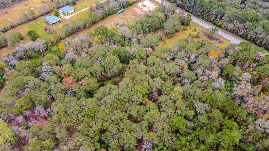 TBD FM 1097 E, Willis, Texas 77378, ,Country Homes/acreage,For Sale,FM 1097 E,32108502