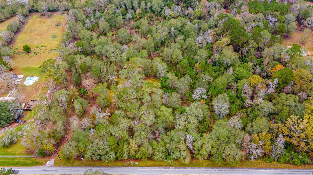 13209 Fm 1097 E Road, Willis, Texas 77318, ,Country Homes/acreage,For Sale,Fm 1097 E,85903192