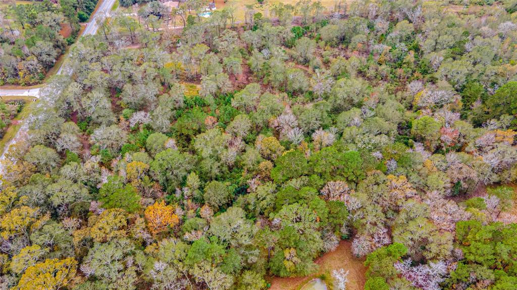 13209 Fm 1097 E Road, Willis, Texas 77318, ,Country Homes/acreage,For Sale,Fm 1097 E,85903192