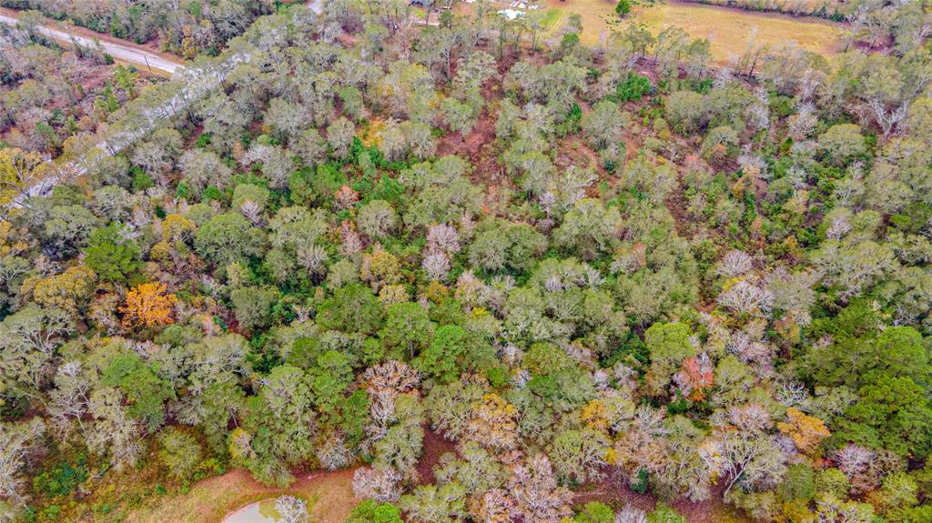 13209 Fm 1097 E Road, Willis, Texas 77318, ,Country Homes/acreage,For Sale,Fm 1097 E,85903192