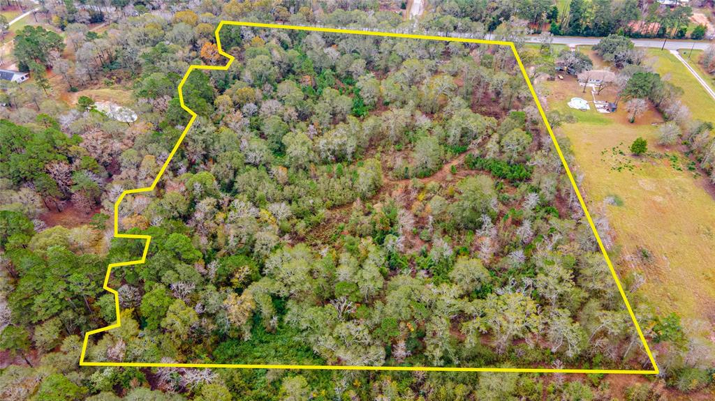 13209 Fm 1097 E Road, Willis, Texas 77318, ,Country Homes/acreage,For Sale,Fm 1097 E,85903192