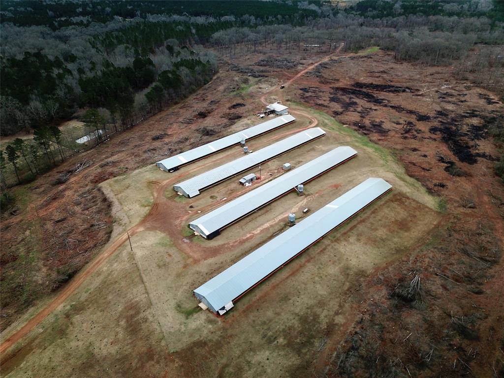 Douglass, TX - Pullet Farm
The 4-house pullet farm is currently under contract as a grower for TYSON. This property consists of 4-40x400 houses built in 1989 and includes Hopper Bin Feed silos, 40K-generator, Cup Drippers, Chain Feeders & houses are heated by propane. 
127.5acres of rolling terrain that is situated on Caney Creek.  There is also Waverlee Manufactured Home that will be included in the sale. All parties must be identified before showing & provide a letter from their Lender prior to showing.