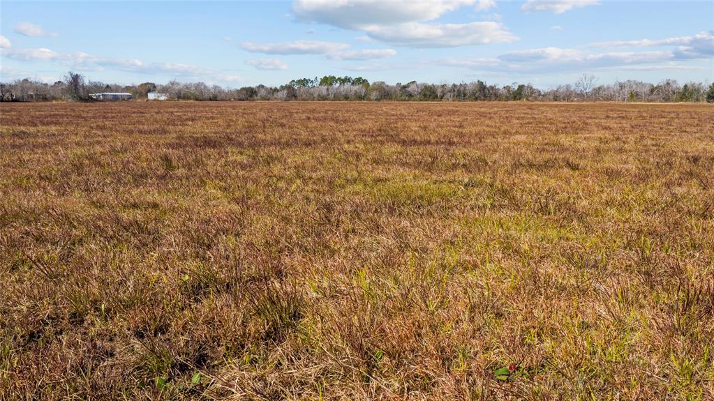 000 County Road 99, Alvin, Texas 77511, ,Country Homes/acreage,For Sale,County Road 99,86330996