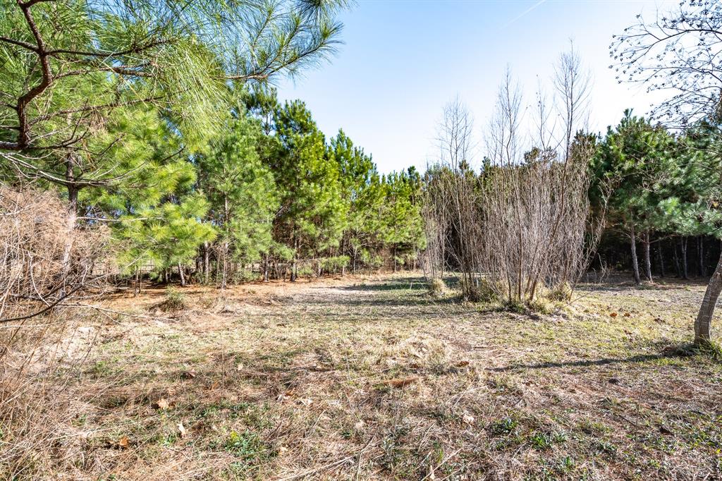 544 County Road 2270