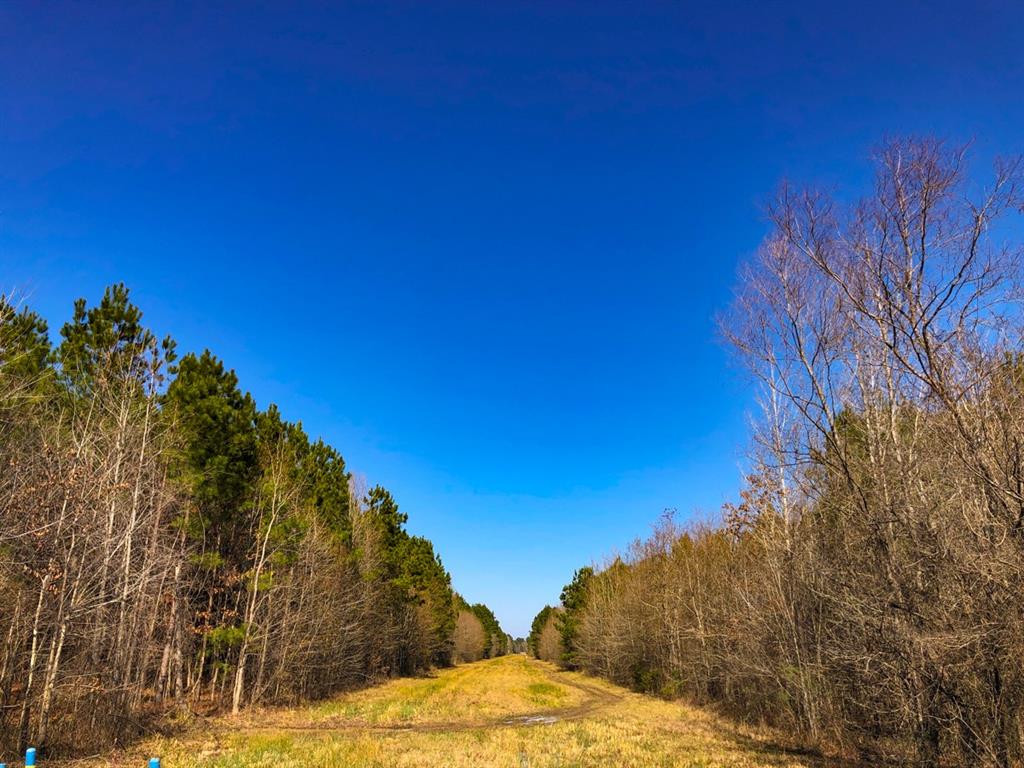 FM 787 Cleveland, Texas 1st-time open market offering. Forestland property in varying ages of pine plantation. FM 787 frontage. Some tracts bisected by Cherry Creek! Electricity along FM 787. Good investment and recreation within an hour of North Houston, TX. Easy access, good frontage.