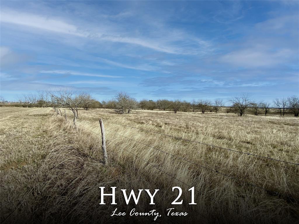 TBD Hwy 21 Dime Box, Texas +/- 53 Un-restricted, Ag-exempt acres with Hwy 21 frontage. Property features *Rich soil *Bahia, Bluestem, and Coastal grasses *Nice sized Pond *5 strand barbed wire Perimeter Fencing. Currently used for Cattle Grazing and Hay Production. Commercial potential with Hwy frontage or several great Home Sites with Uncluttered Distant Views. Located in close proximity to Austin, College Station, Brenham, Caldwell, Giddings, Bastrop and a few minutes from Lake Somerville. Please call listing agent Katy Pugh for more information.