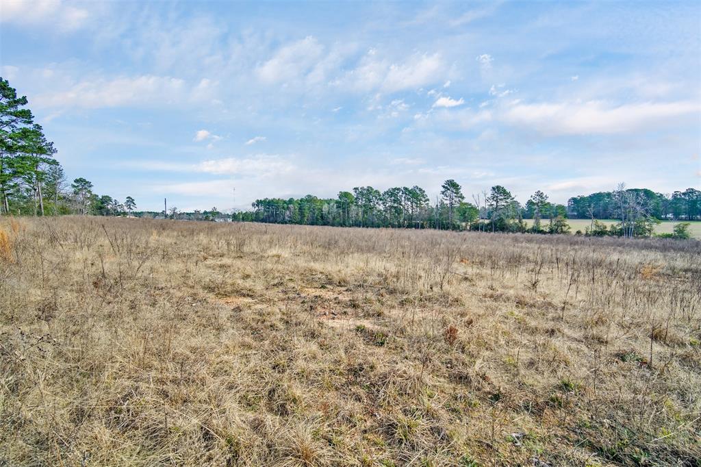 15040 FM 2854 Road, Montgomery, Texas 77316, ,Country Homes/acreage,For Sale,FM 2854,11681381