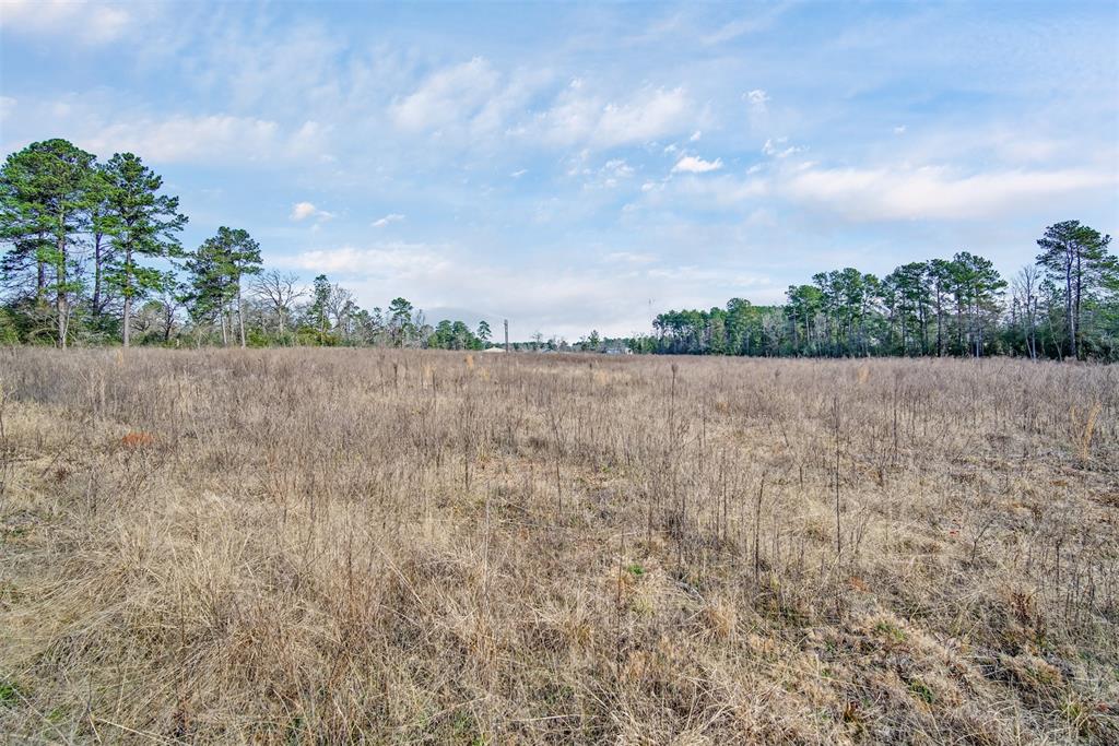 15040 FM 2854 Road, Montgomery, Texas 77316, ,Country Homes/acreage,For Sale,FM 2854,11681381