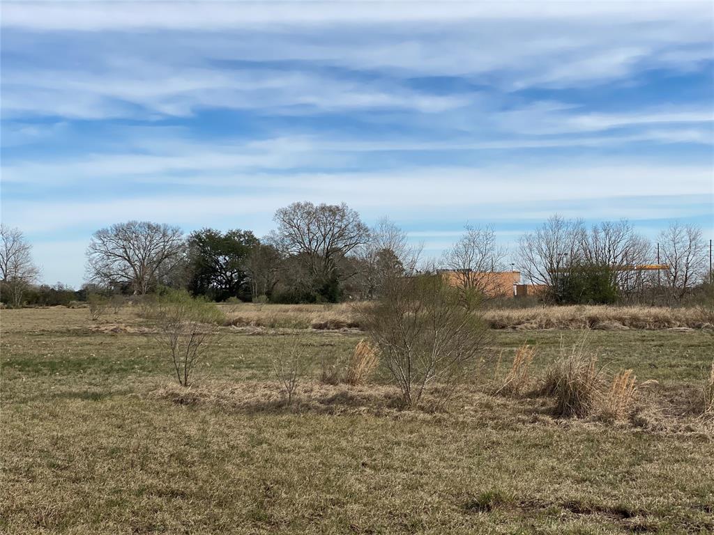 20.78 Acres Fm 2920, Waller, Texas 77484, ,Country Homes/acreage,For Sale,Fm 2920,31827859