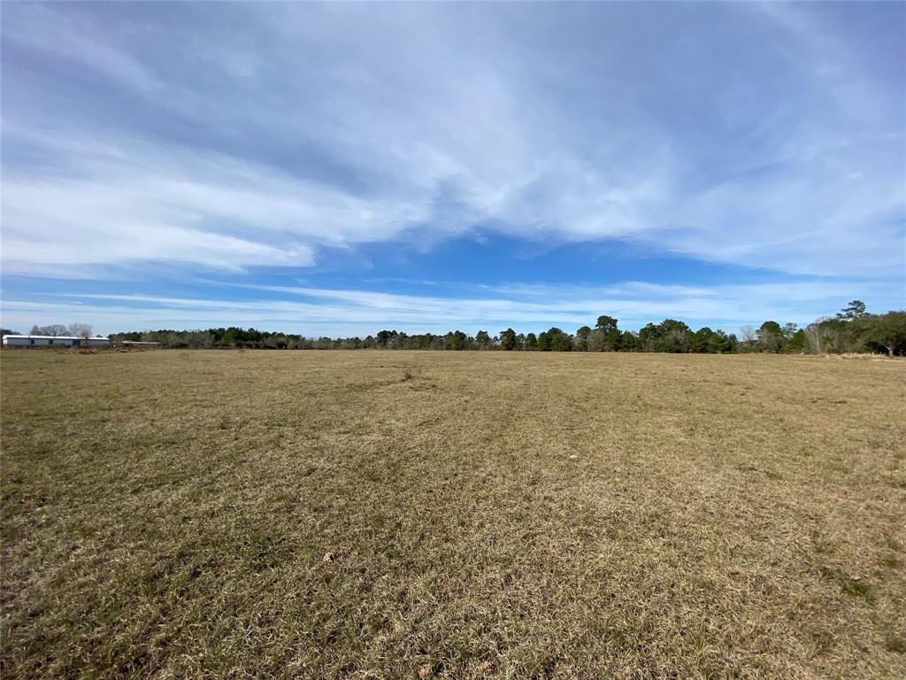 20.78 Acres Fm 2920, Waller, Texas 77484, ,Country Homes/acreage,For Sale,Fm 2920,31827859