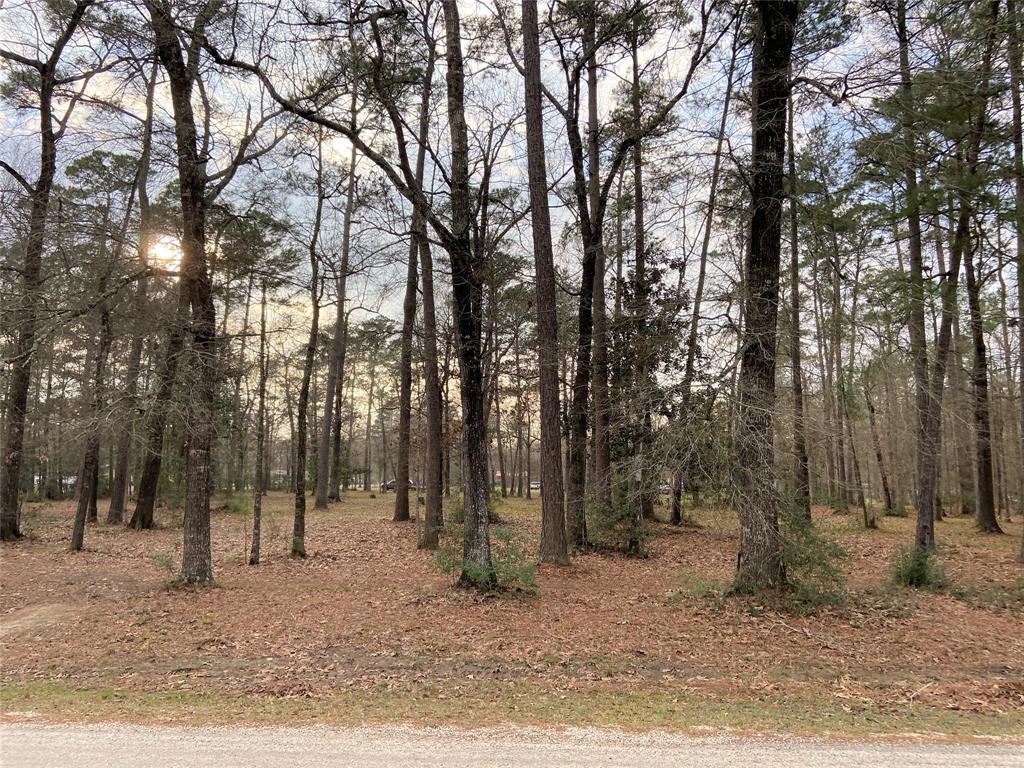 TBD County Road 6502 W