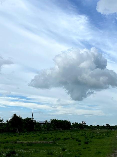 13651 1 County Road 184, Alvin, Texas 77511, ,1 BathroomBathrooms,Country Homes/acreage,For Sale,County Road 184,88863227