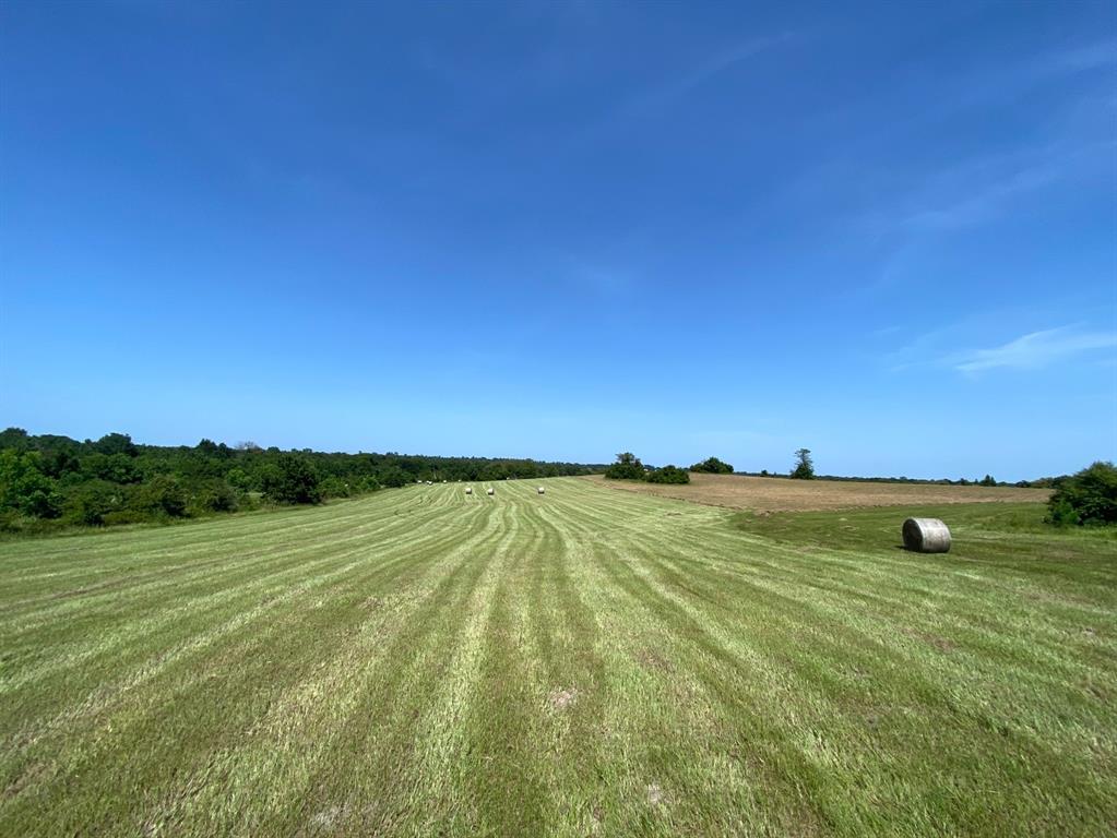 1200-C FM 1486, Montgomery, Texas 77316, ,Country Homes/acreage,For Sale,FM 1486,17196292