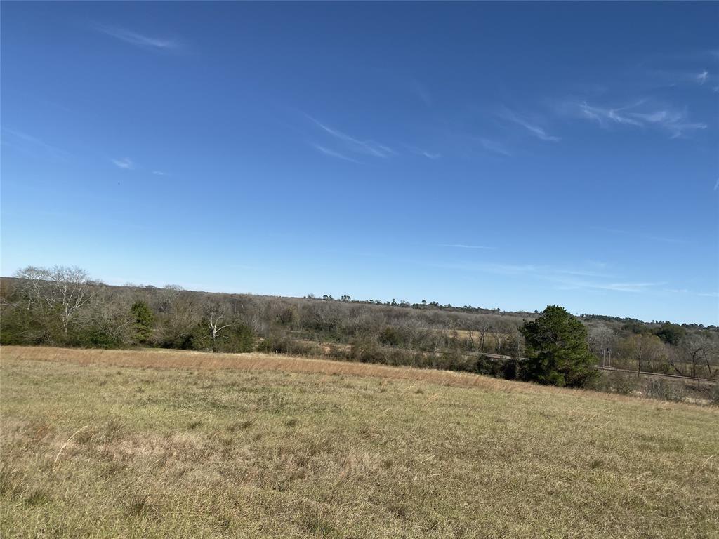 1200-C FM 1486, Montgomery, Texas 77316, ,Country Homes/acreage,For Sale,FM 1486,17196292