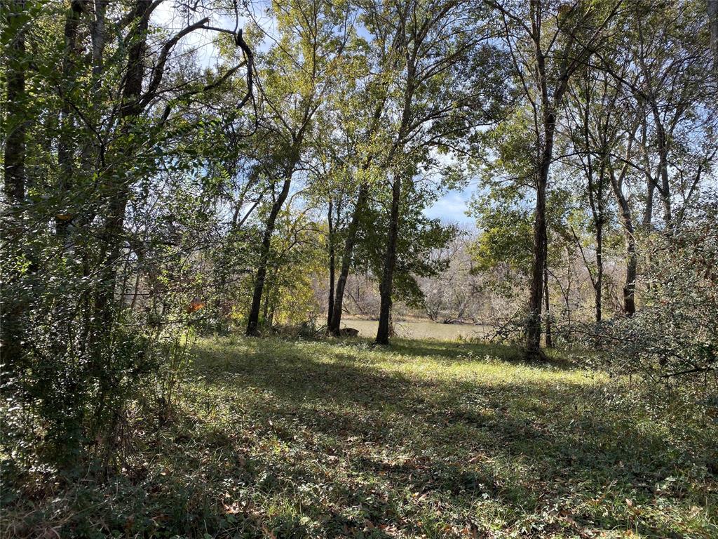 1200-C FM 1486, Montgomery, Texas 77316, ,Country Homes/acreage,For Sale,FM 1486,17196292