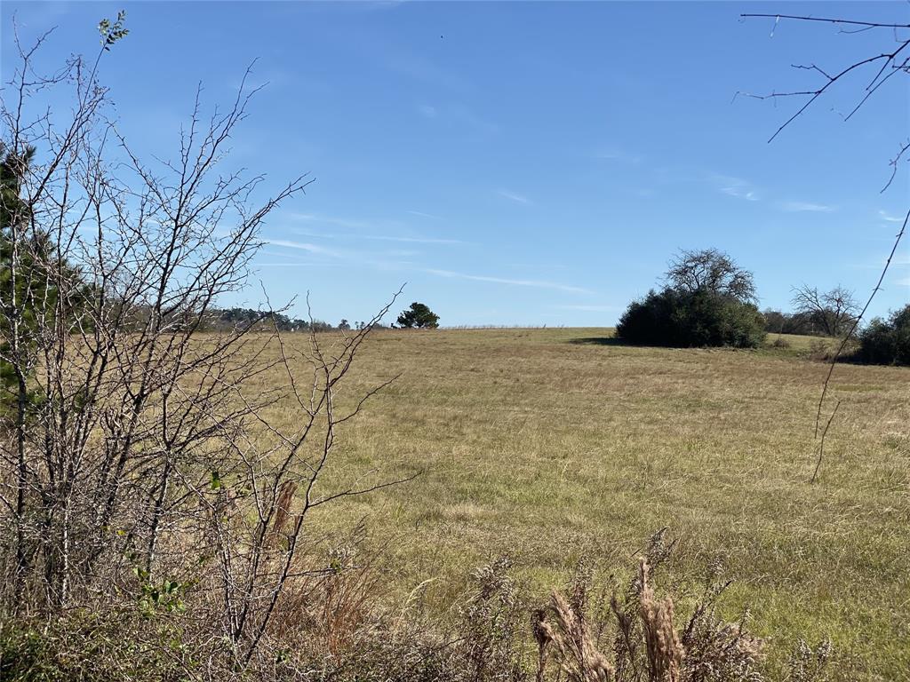 1200-C FM 1486, Montgomery, Texas 77316, ,Country Homes/acreage,For Sale,FM 1486,17196292