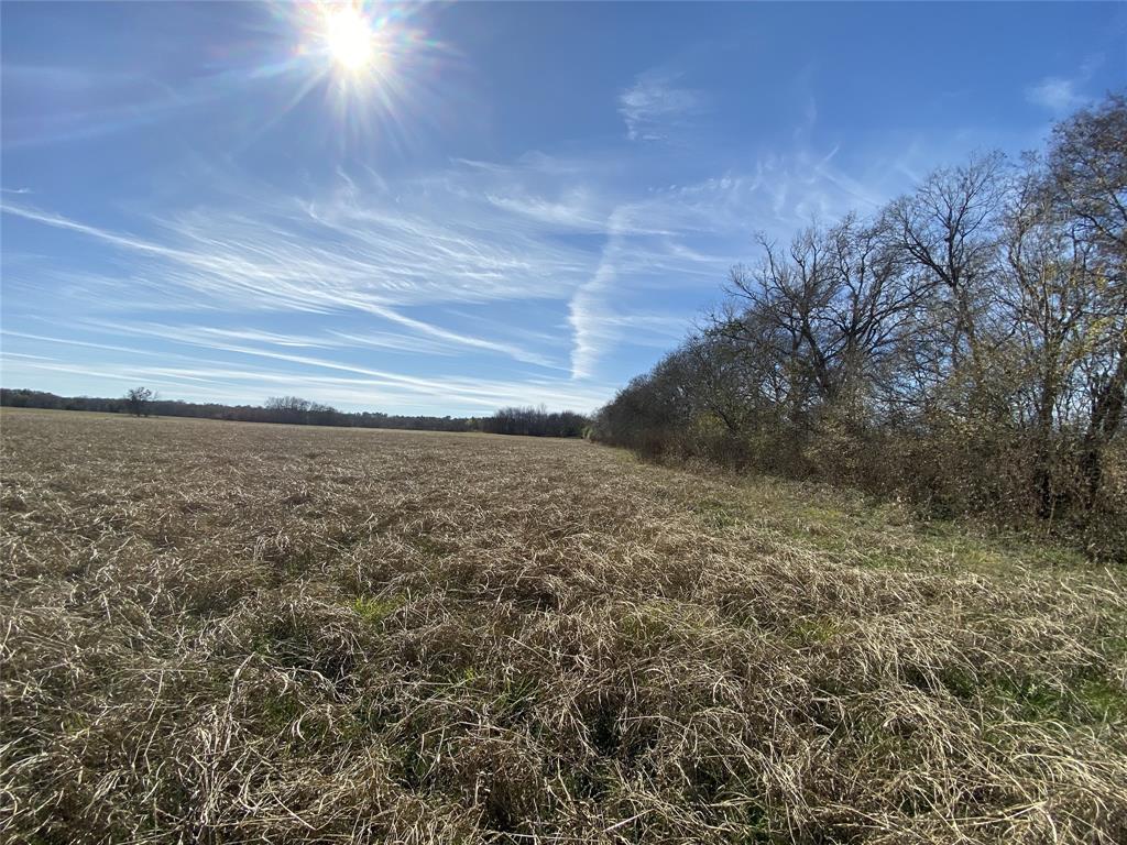 1200-C FM 1486, Montgomery, Texas 77316, ,Country Homes/acreage,For Sale,FM 1486,17196292