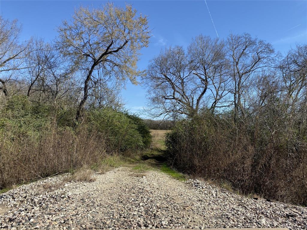 1200-C FM 1486, Montgomery, Texas 77316, ,Country Homes/acreage,For Sale,FM 1486,17196292