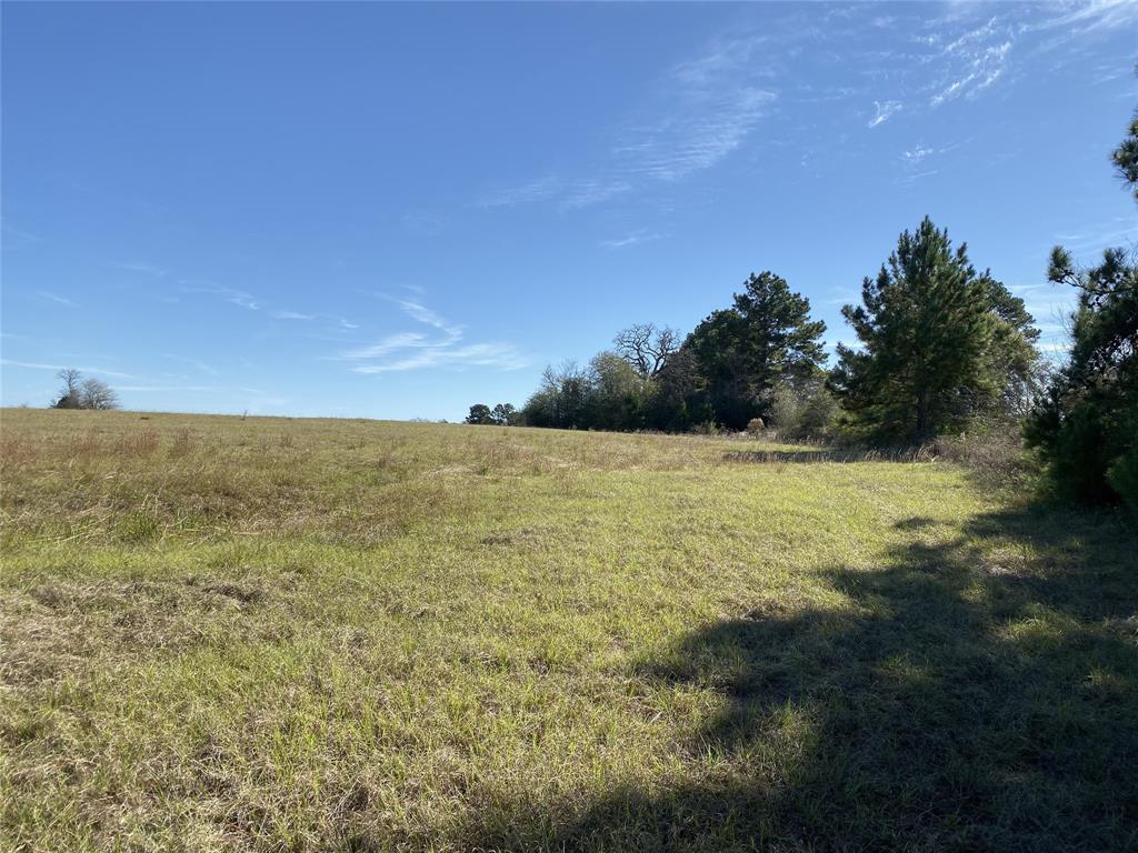 1200-C FM 1486, Montgomery, Texas 77316, ,Country Homes/acreage,For Sale,FM 1486,17196292