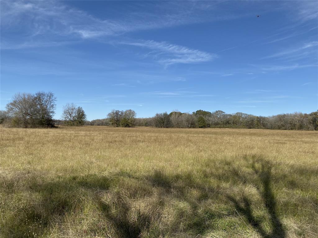 1200-C FM 1486, Montgomery, Texas 77316, ,Country Homes/acreage,For Sale,FM 1486,17196292