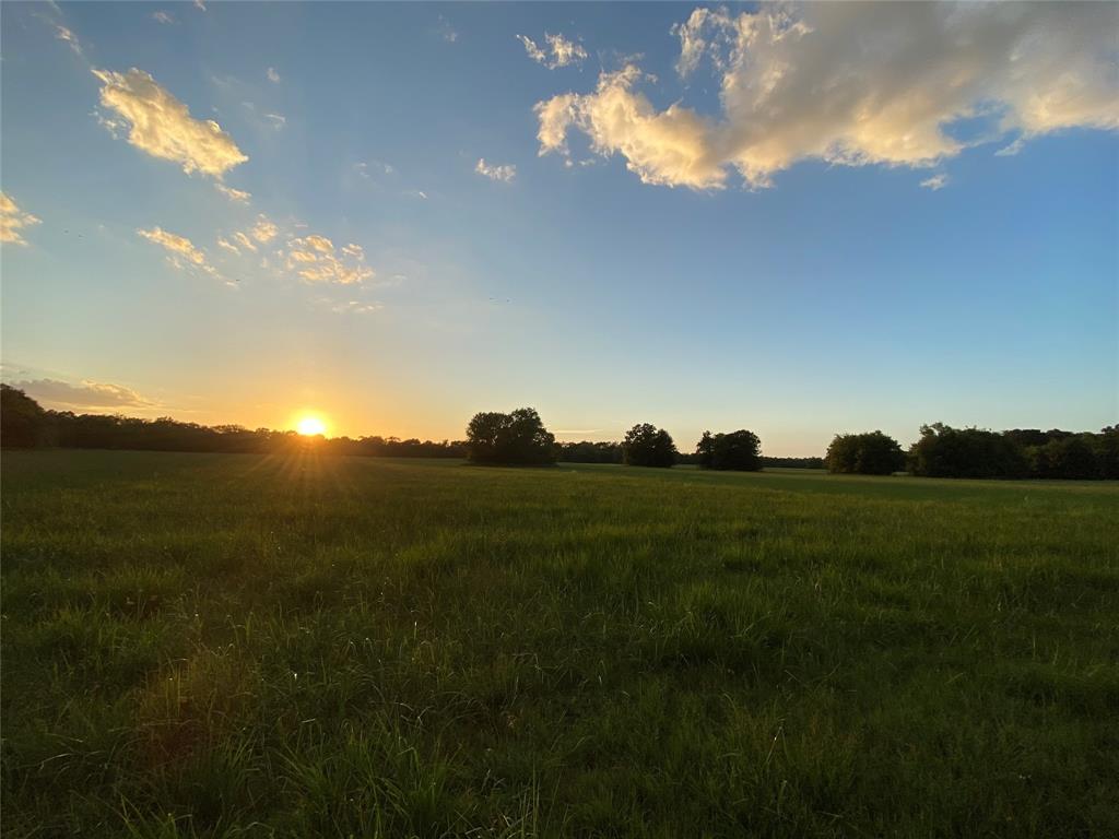 1200-C FM 1486, Montgomery, Texas 77316, ,Country Homes/acreage,For Sale,FM 1486,17196292