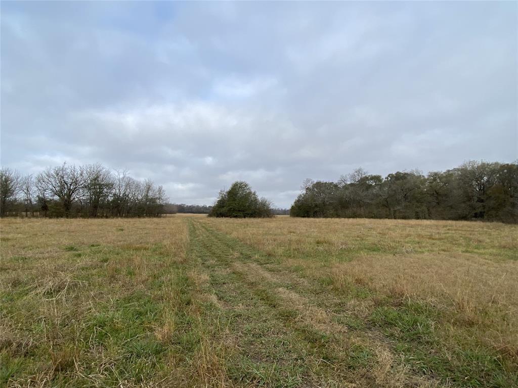 1200-C FM 1486, Montgomery, Texas 77316, ,Country Homes/acreage,For Sale,FM 1486,17196292