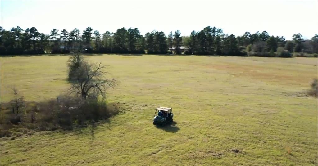 1200-C FM 1486, Montgomery, Texas 77316, ,Country Homes/acreage,For Sale,FM 1486,17196292