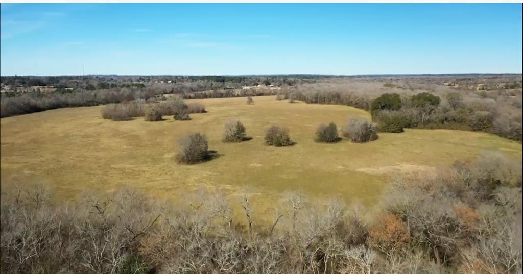 1200-C FM 1486, Montgomery, Texas 77316, ,Country Homes/acreage,For Sale,FM 1486,17196292