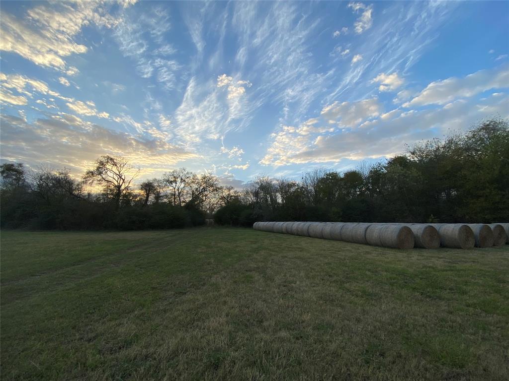 1200-C FM 1486, Montgomery, Texas 77316, ,Country Homes/acreage,For Sale,FM 1486,17196292