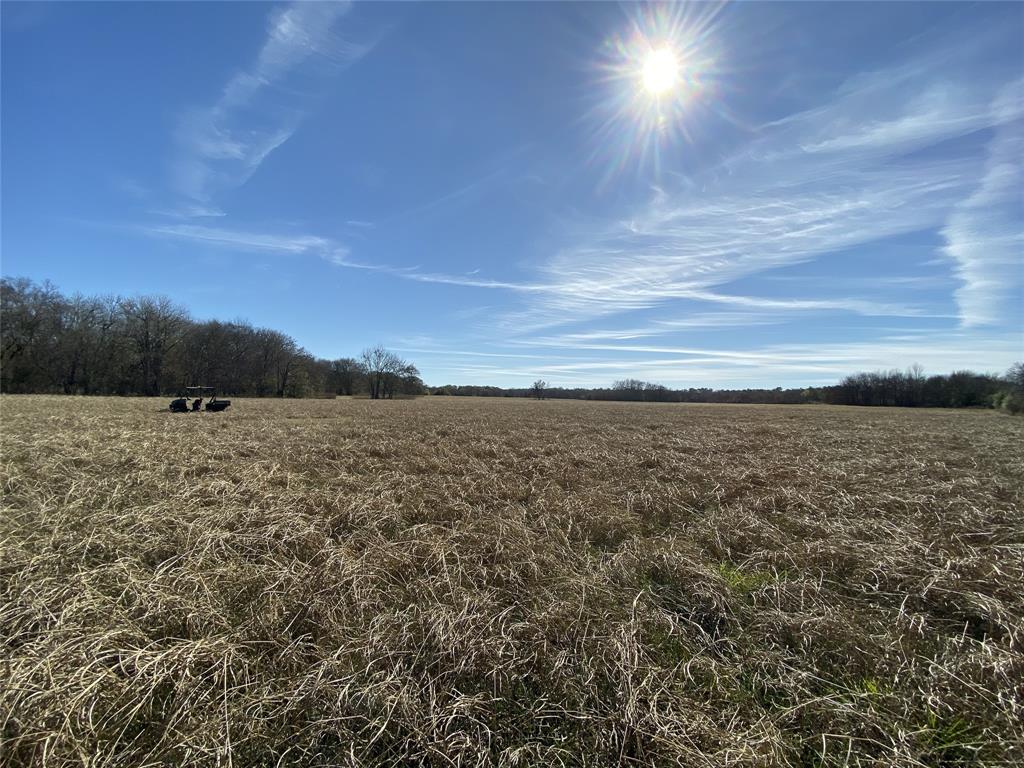 1200-C FM 1486, Montgomery, Texas 77316, ,Country Homes/acreage,For Sale,FM 1486,17196292