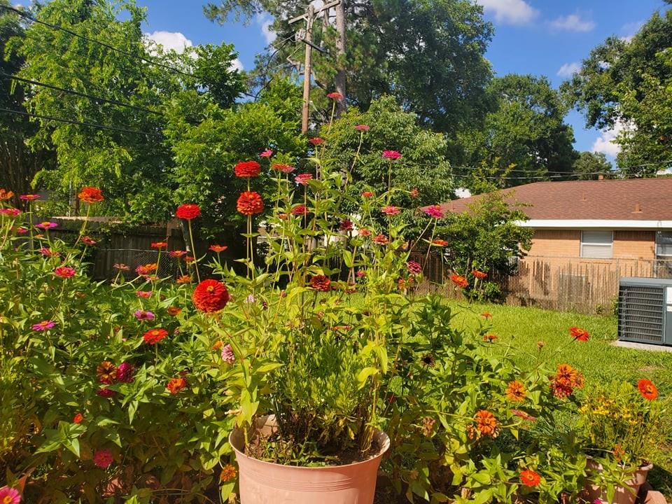 10146 1 Moorberry Lane, Houston, Texas 77080, 4 Bedrooms Bedrooms, 4 Rooms Rooms,2 BathroomsBathrooms,Single-family,For Sale,Moorberry,62812551