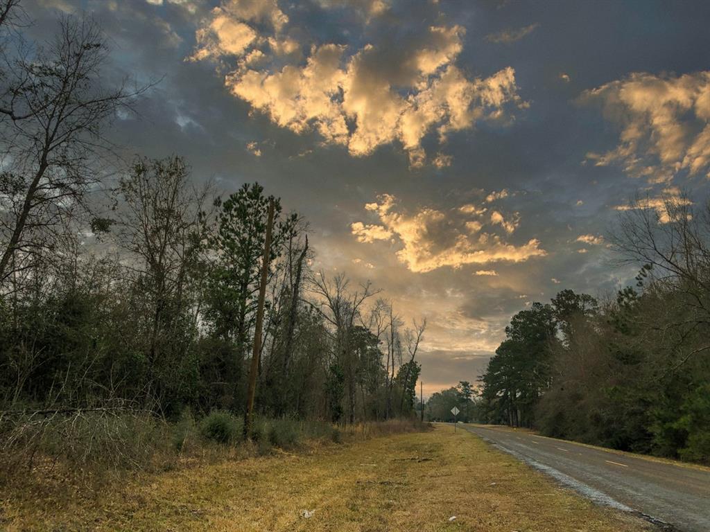 00  old spurger hwy  silsbee, TX 77656